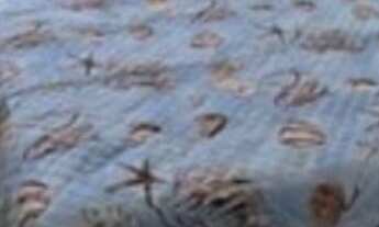 Imagem 2: APARTAMENTO RESIDENCIAL em JOÃO PESSOA - PB, ALTIPLANO CABO BRANCO