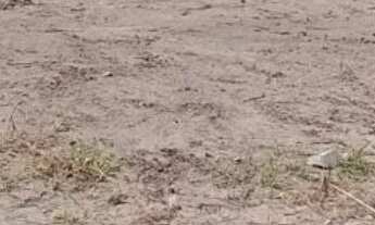 Imagem 2: TERRENO COMERCIAL em JOÃO PESSOA - PB, BRISAMAR