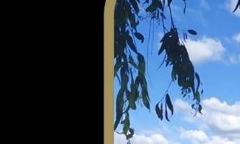 Imagem: SITIO RURAL em OLHO DÁGUA - PB, Olho d