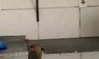 Imagem 2: PONTO COMERCIAL em JOÃO PESSOA - PB, IPÊS