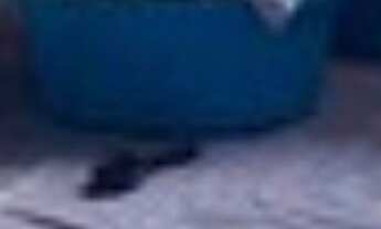 Imagem 4: CASA RESIDENCIAL em PITIMBU - PB, Pitimbu