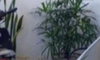 Imagem 5: APARTAMENTO RESIDENCIAL em JOÃO PESSOA - PB, VALENTINA DE FIGUEIREDO