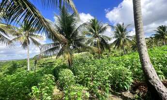 Imagem 5: TERRENO RURAL em PITIMBU - PB, pimtibu