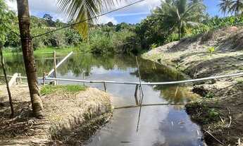 Imagem 6: TERRENO RURAL em PITIMBU - PB, pimtibu