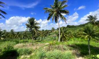 Imagem 3: TERRENO RURAL em PITIMBU - PB, pimtibu