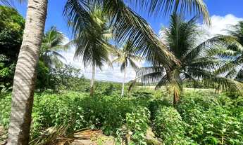 Imagem: TERRENO RURAL em PITIMBU - PB, pimtibu