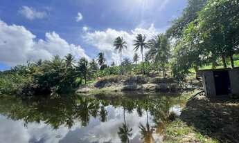 Imagem 4: TERRENO RURAL em PITIMBU - PB, pimtibu