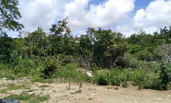 Imagem: TERRENO RESIDENCIAL em JOÃO PESSOA - PB