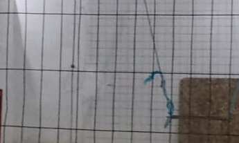 Imagem: PONTO RESIDENCIAL em JOÃO PESSOA - PB