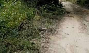 Imagem: FAZENDA RURAL em JOÃO PESSOA - PB, JARDIM