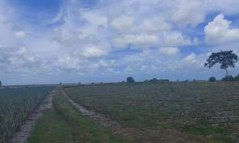 Imagem: TERRENO RURAL em SANTA RITA - PB, POPULAR
