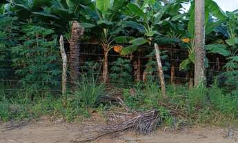 Imagem 4: SITIO RURAL em ALHANDRA - PB, Alhandra