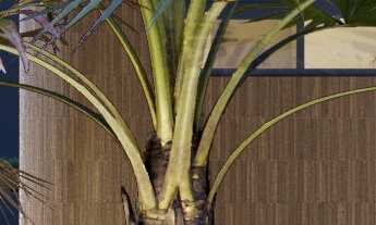 Imagem 4: APARTAMENTO RESIDENCIAL em JOÃO PESSOA - PB, JARDIM OCEANIA