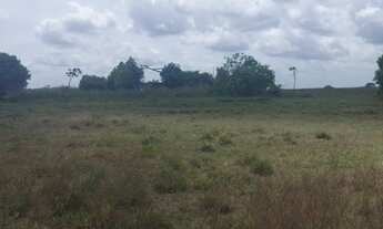 Imagem 3: TERRENO RURAL em SANTA RITA - PB, POPULAR