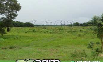 Imagem: FAZENDA À VENDA, 88.000 HECTARES POR R$