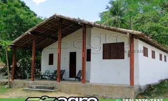 Imagem: FAZENDA À VENDA, 270 HECTARES POR R$ 3.500.000