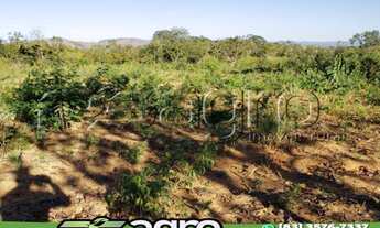 Imagem 6: FAZENDA À VENDA, 53240 M² POR R$ 20.000.000,00 - S - SÃO SALVADOR DO TOCANTINS/TO