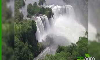 Imagem 2: FAZENDA À VENDA, 280000000 M² POR R$ 1.200.000.000 - ZONA RURAL - SAPEZAL/MT