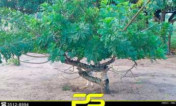 Imagem 5: SÍTIO COM 3 DORMITÓRIOS À VENDA, 50000 M² POR R$ 1.100.000 - ZONA RURAL - CONDE/PB