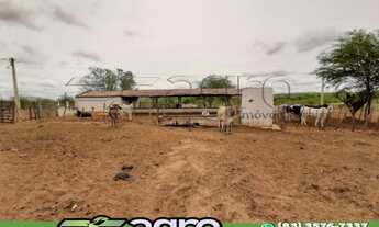 Imagem 7: FAZENDA COM 3 DORMITÓRIOS À VENDA, 1900000 M² POR R$ 900.000,00 - 00 - SUMÉ/PB