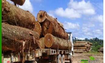 Imagem: FAZENDA À VENDA, 1010000000 M² POR R$
