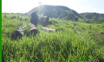Imagem 5: FAZENDA À VENDA, 147000000 M² POR R$ 350.000.000 - LOCALIZADA AO NORTE DE MINAS-MG