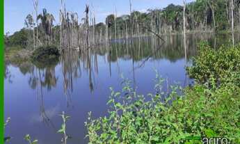 Imagem 6: FAZENDA À VENDA COM REPASSE DE ARRENDAMENTO, 89000000 M² POR R$ 999.999.999 - NOVO HORIZON