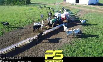 Imagem: FAZENDA À VENDA, 23000 HEC² POR R$ 120.000,00