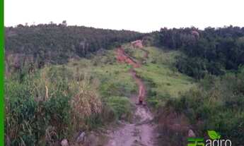Imagem 3: FAZENDA À VENDA, 147000000 M² POR R$ 350.000.000 - LOCALIZADA AO NORTE DE MINAS-MG