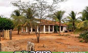 Imagem 3: FAZENDA COM 3 DORMITÓRIOS À VENDA, 1900000 M² POR R$ 900.000,00 - 00 - SUMÉ/PB