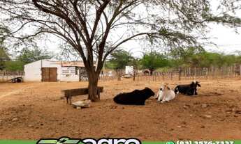 Imagem 1: FAZENDA COM 3 DORMITÓRIOS À VENDA, 1900000 M² POR R$ 900.000,00 - 00 - SUMÉ/PB