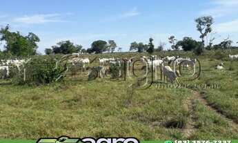 Imagem: FAZENDA À VENDA, 310000 M² POR R$ 62.000.000,00