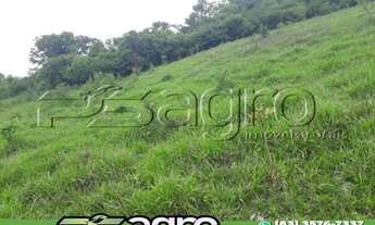 Imagem 3: FAZENDA À VENDA, 14000000 M² POR R$ 7.000.000,00 - SETOR CENTRAL - BONFINÓPOLIS/GO