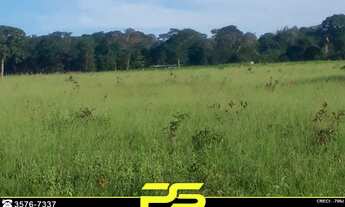 Imagem: FAZENDA À VENDA, 376.857 HECTARES POR R$