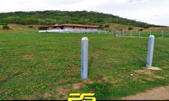 Imagem 7: FAZENDA PARA VENDER COM 14 HECTARES EM ALAGOINHA - PB, POR R$ 750.000,00