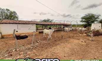 Imagem 5: FAZENDA COM 3 DORMITÓRIOS À VENDA, 1900000 M² POR R$ 900.000,00 - 00 - SUMÉ/PB