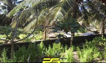 Imagem 6: CASA COM 2 DORMITÓRIOS À VENDA, 1200 M² POR R$ 630.000,00 - SIBAÚMA - TIBAU DO SUL/RN