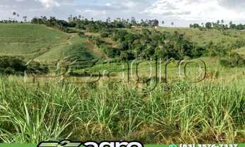 Imagem: TERRENO À VENDA, 170000 M² POR R$ 300.000