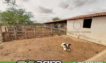 Imagem 4: FAZENDA COM 3 DORMITÓRIOS À VENDA, 1900000 M² POR R$ 900.000,00 - 00 - SUMÉ/PB