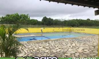 Imagem 2: HARAS À VENDA NO B. DAS INDÚSTRIAS, COM 5HA