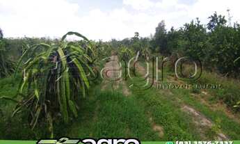 Imagem: FAZENDA À VENDA, 4500 HECTARES POR R$ 11.250.000