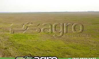 Imagem 4: FAZENDA À VENDA, 2004 HECTARES POR R$ 30.060. - CENTRO - VILHENA/RO