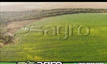 Imagem: FAZENDA À VENDA, 580000000 M² POR R$ 150.000.000,00