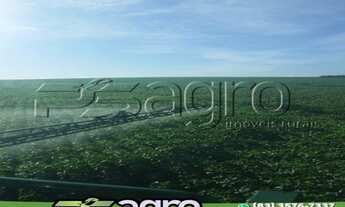 Imagem 2: FAZENDA À VENDA, 7982 HECTARES POR R$ 195.000.000 - ZONA RURAL - PARANATINGA/MT