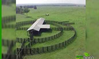 Imagem: FAZENDA À VENDA, 280000000 M² POR R$ 1.200.000.000