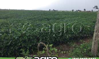 Imagem 3: FAZENDA À VENDA, 22000000 M² POR R$ 45.000.000,00 - ZONA RURAL - VILA RICA/MT