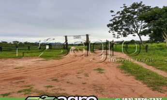 Imagem 5: FAZENDA À VENDA, 105000 M² POR R$ 23.000.000 - ZONA RURAL -TO