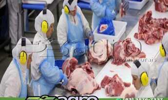 Imagem 4: FRIGORÍFICO À VENDA POR R$ 80.000.000 - GOIÁS/GO