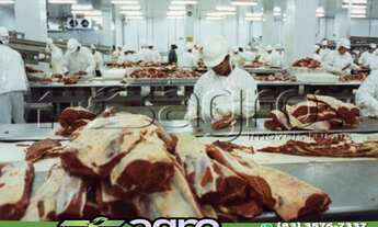 Imagem 2: FRIGORÍFICO À VENDA POR R$ 80.000.000 - GOIÁS/GO