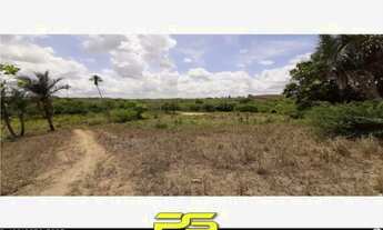 Imagem 2: FAZENDA À VENDA, 15 HECTARES POR R$ 850.000 - SAPÉ - SAPÉ/PB
